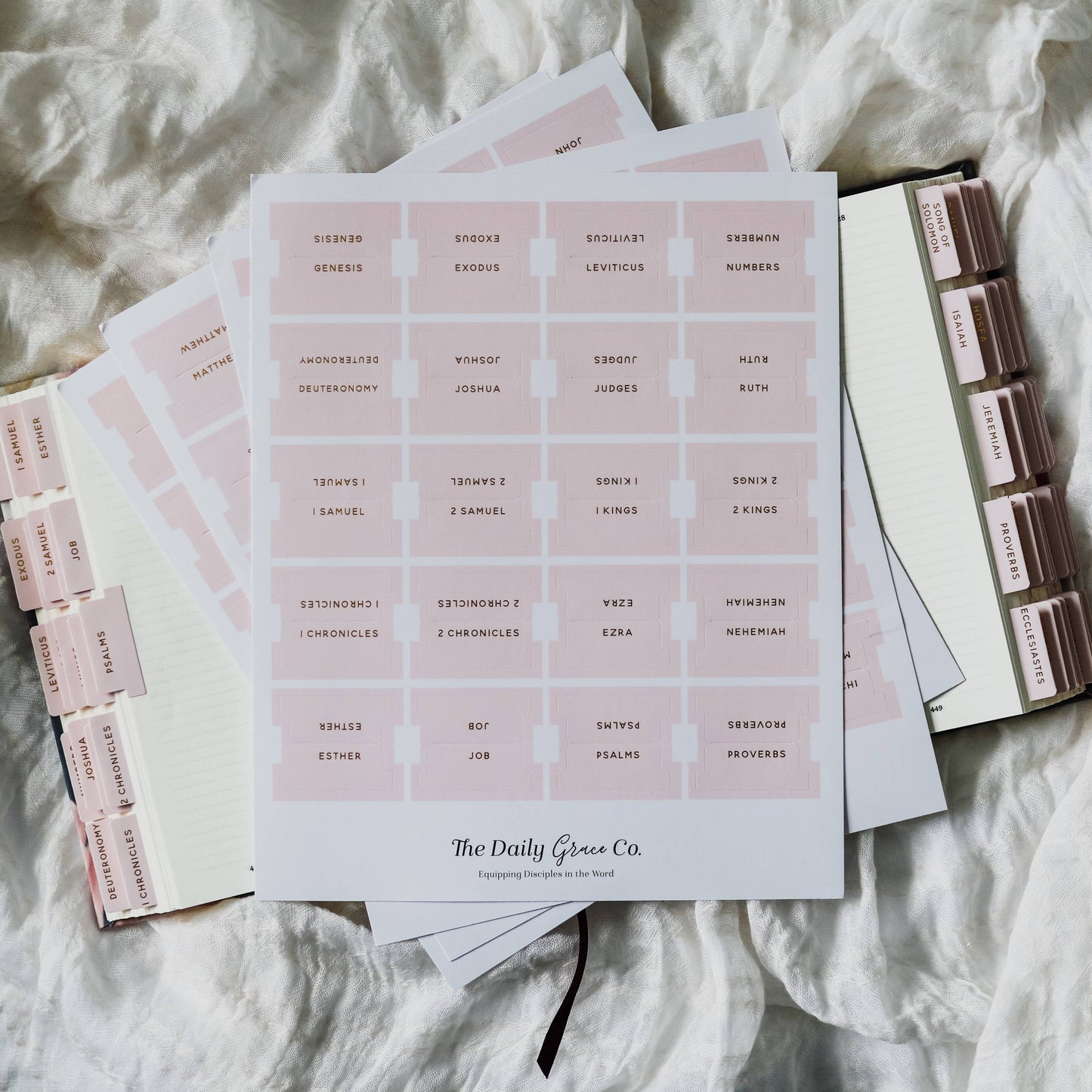 Bible Tabs - Blush Pink